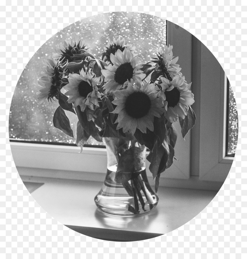 Frases Bonita De Girasoles, HD Png Download - black flowers png