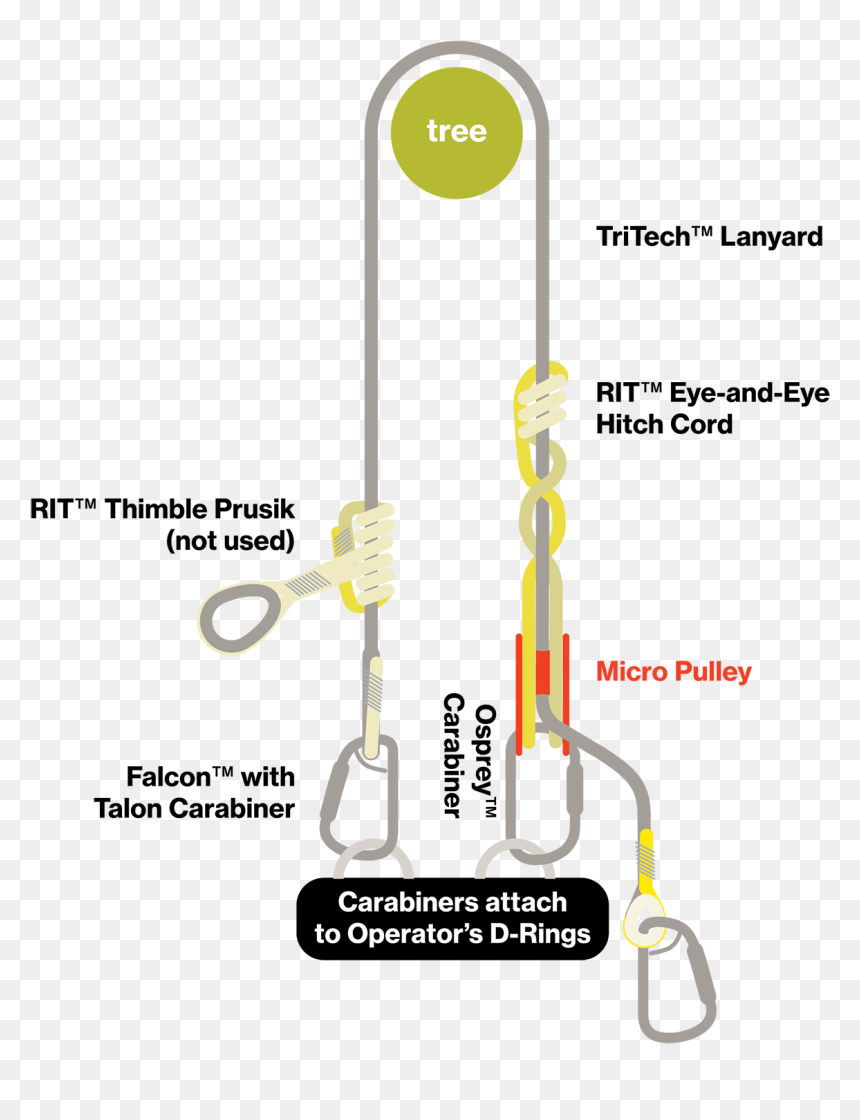 Up Lanyard Illustrations-02 - Arborist Work Positioning Lanyard, HD Png Download - lanyard png