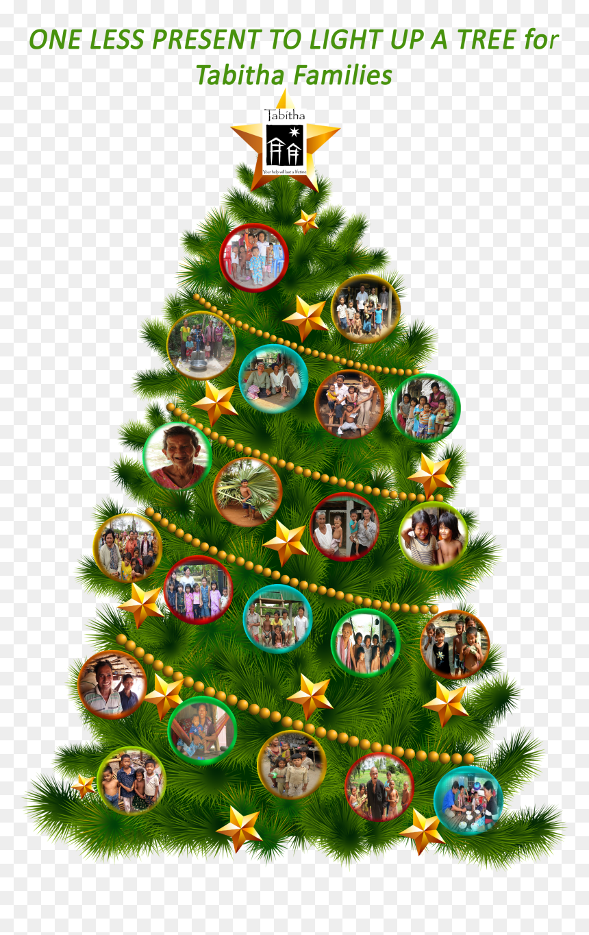 Christmas Tree Tabitha - Christmas Tree, HD Png Download - xmas tree png