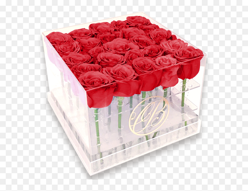 Caja De Acrílico Rosas Rojas - Cajas De Rosas En Acrilico, HD Png Download - rosas rojas png