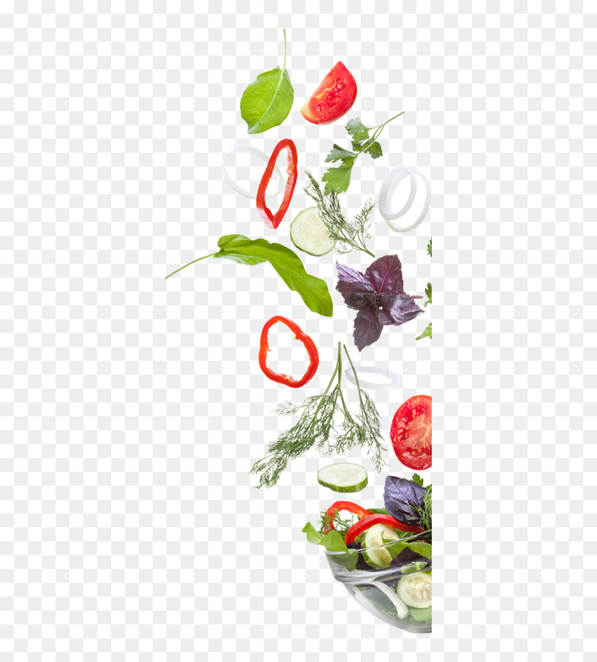 Floral Design, HD Png Download - bg.png