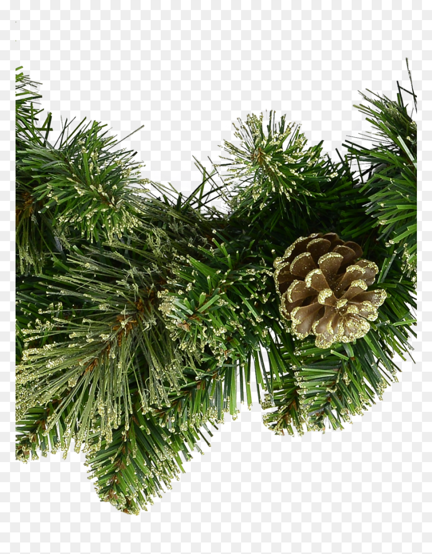 Natural Look Pine Wreath With Pine Cones & Lightly - Shortstraw Pine, HD Png Download - pine cones png