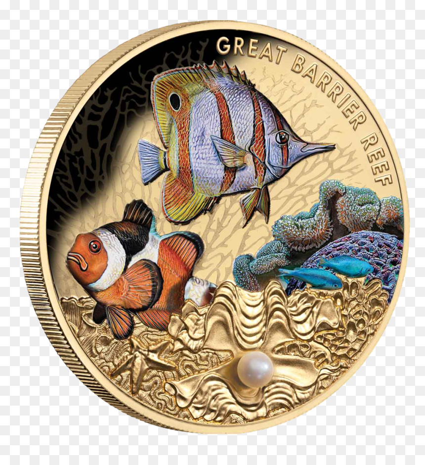 Itniu20048 1 - Neon Damselfish In Coins, HD Png Download - reef png