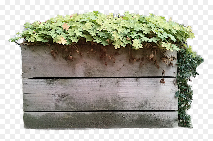 Flowerpot, HD Png Download - vine texture png