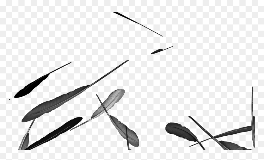 Clip Art, HD Png Download - falling feathers png