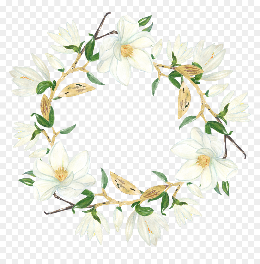 Magnolia Clipart Magnolia Flower - Magnolia, HD Png Download - magnolia png