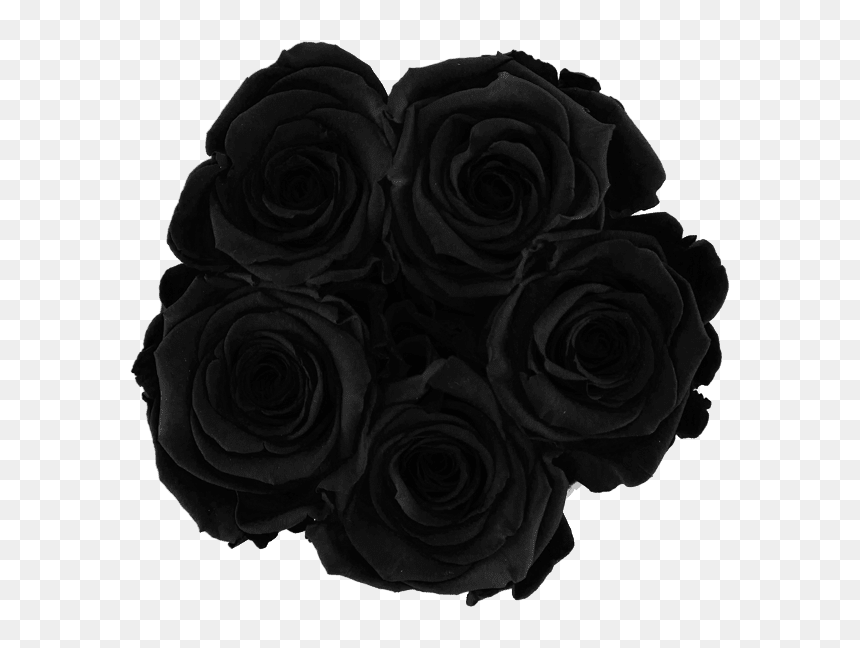 Garden Roses Clipart , Png Download - Transparent Black Roses Png, Png Download - black flowers png