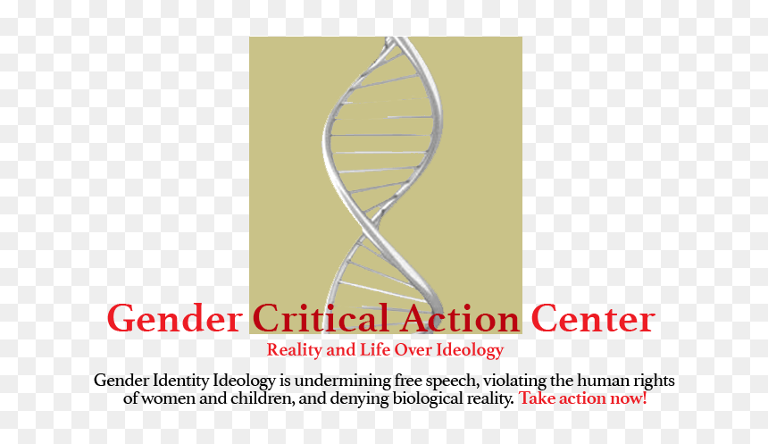 Gender Png, Transparent Png - gender png