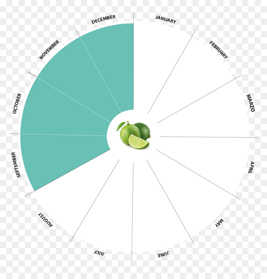 Bio Limes Production Calendar - Circle, HD Png Download - limes png