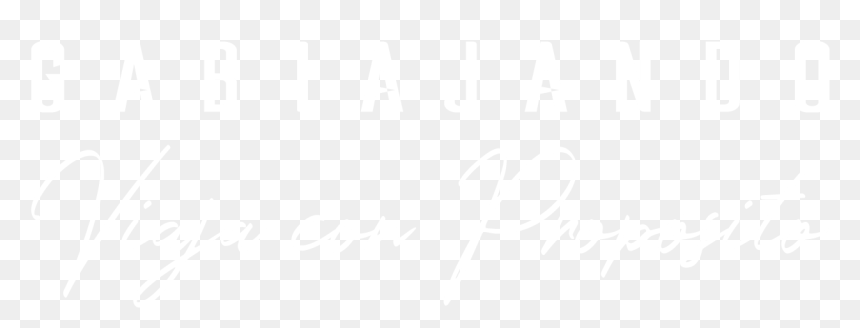 Johns Hopkins Logo White, HD Png Download - circulo blanco png