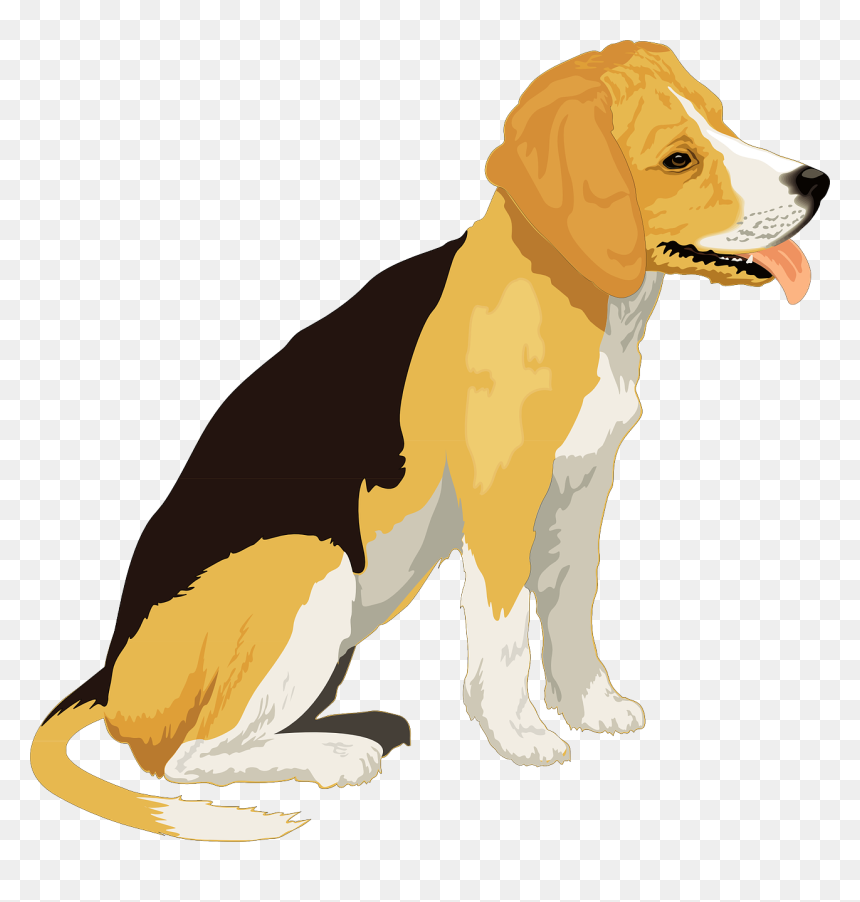 Response Definition, HD Png Download - beagle png