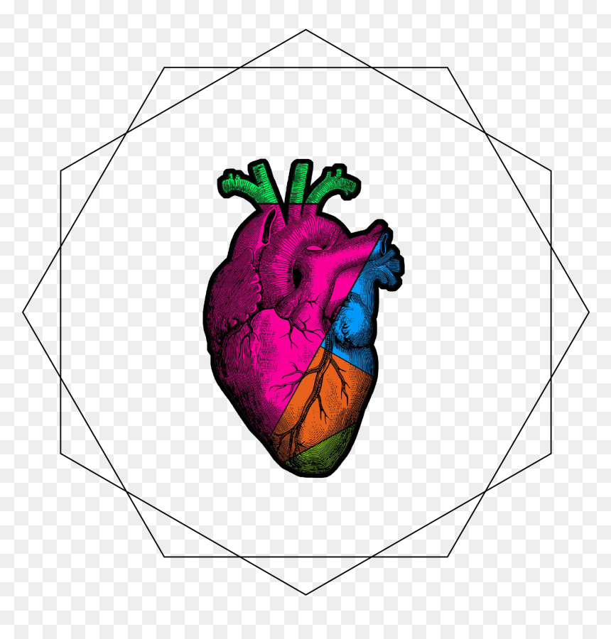 Illustration, HD Png Download - point of light png