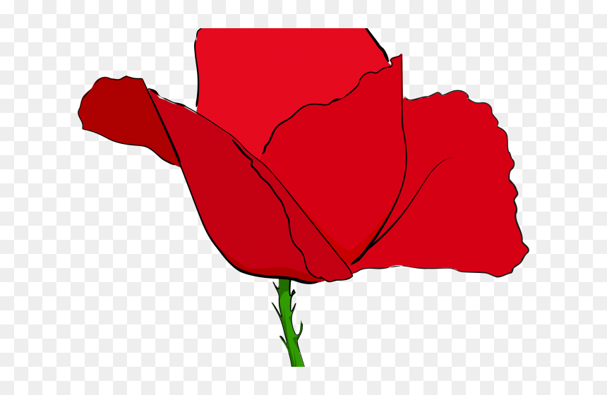 Transparent Princess Poppy Png - Common Poppy, Png Download - princess poppy png