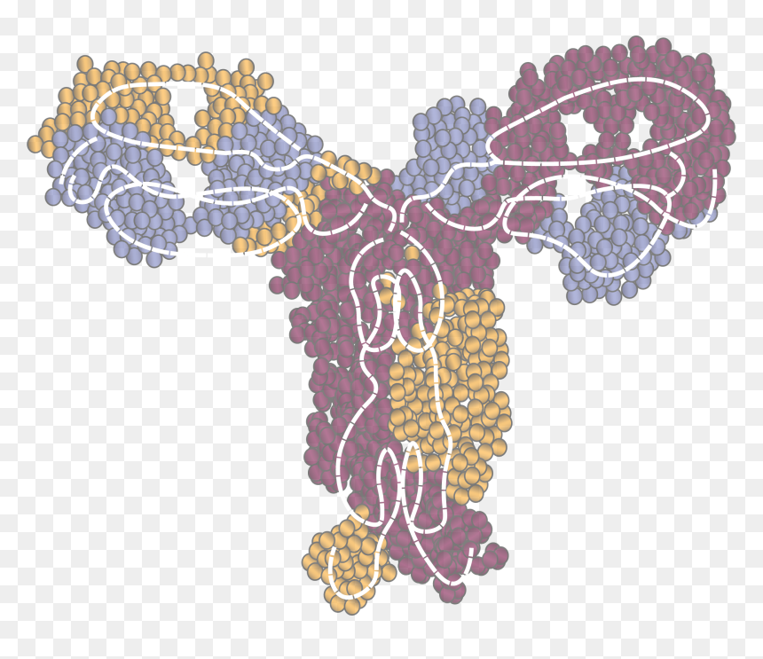 Needlework, HD Png Download - antibody png