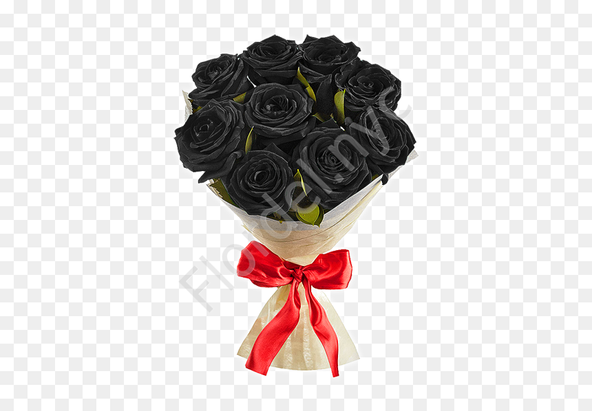 Black Roses With Red Bow - Garden Roses, HD Png Download - black flowers png