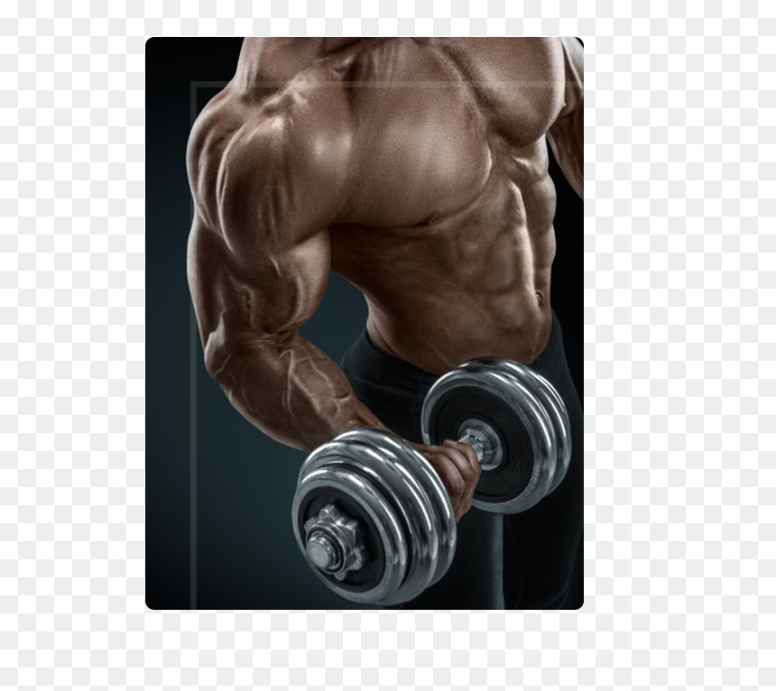Bodybuilding Stock, HD Png Download - body builder png