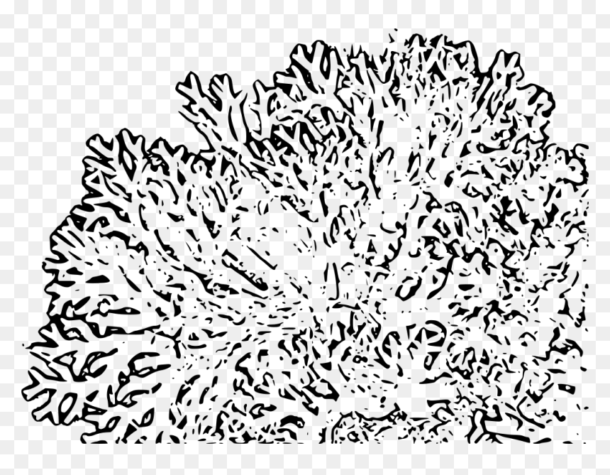 Coral Reefs Black And White Clipart Png, Transparent Png - reef png