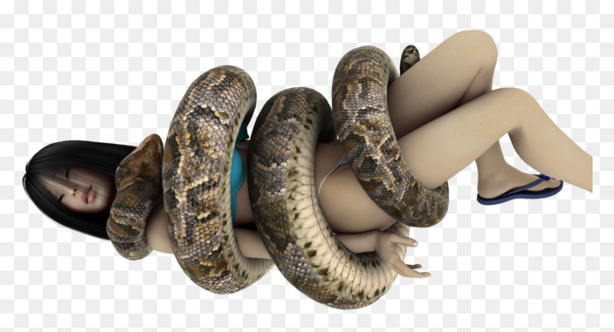 Snake Giant Anaconda Digital Art - Png Anaconda Snake, Transparent Png - anaconda png
