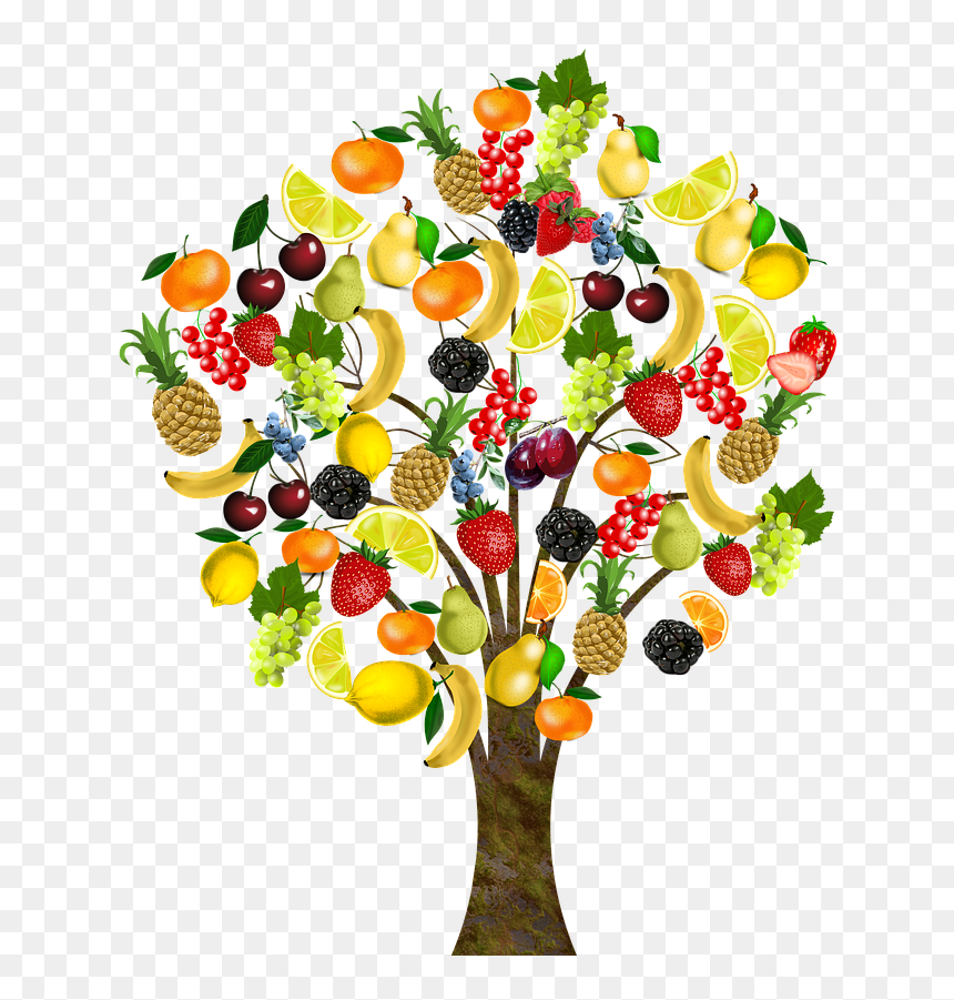 To Welcome All My New Followers And To Connect With - Fruit Tree Image Clipart, HD Png Download - frutas y verduras png