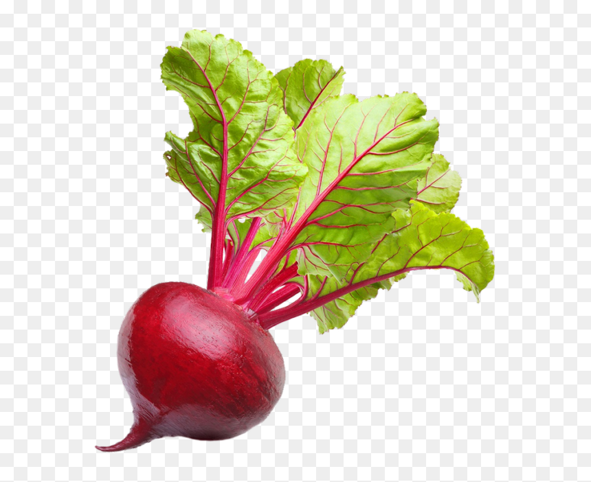 Vegetable Beetroot, HD Png Download - frutas y verduras png