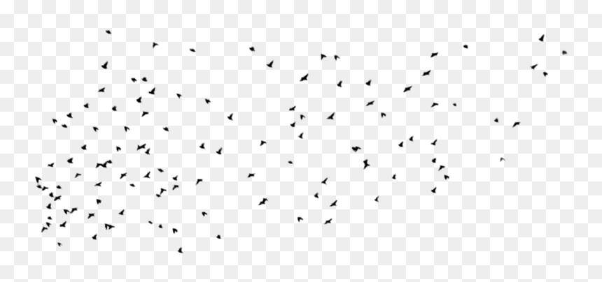 Bird Background Birds Transparent - Transparent Birds Background Png White, Png Download - sky background png