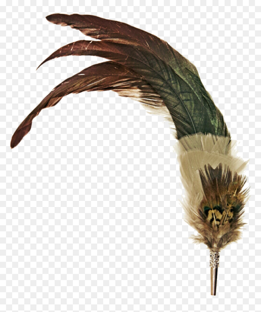 Feather Pen Png - Vintage Pen Feather Png, Transparent Png - quill pen png