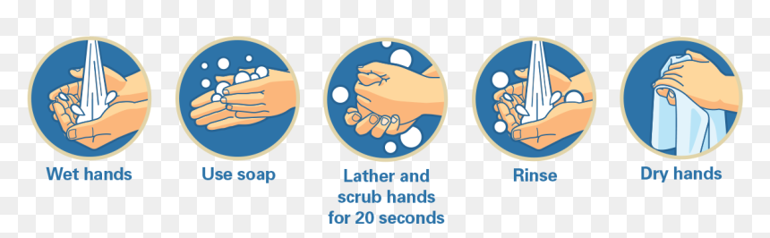 Circle, HD Png Download - stop hand png