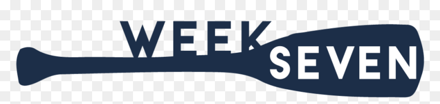 Daily Paddle Cover - Tool, HD Png Download - paddle png