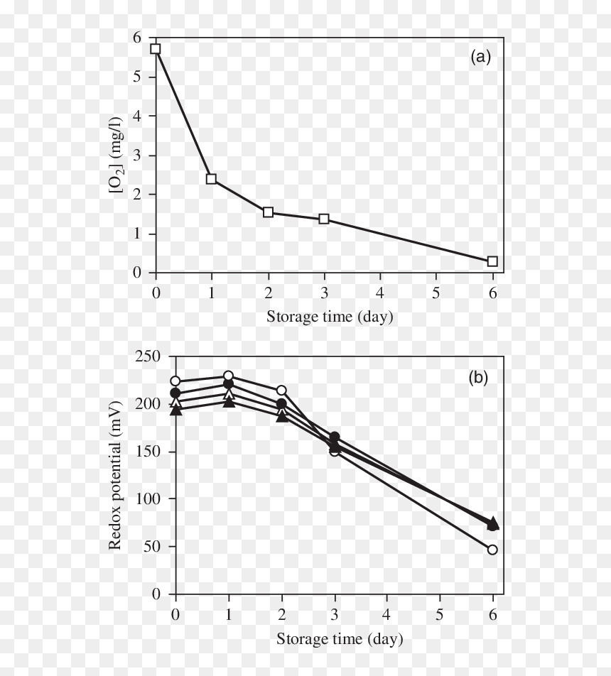 Transparent White Light Effect Png - Effect Of Light On Dissolved Oxygen, Png Download - white light effect png