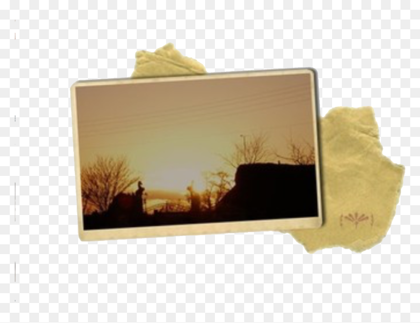 Transparent Meme Pngs - Transparent Niche Meme Pngs, Png Download - meme pngs