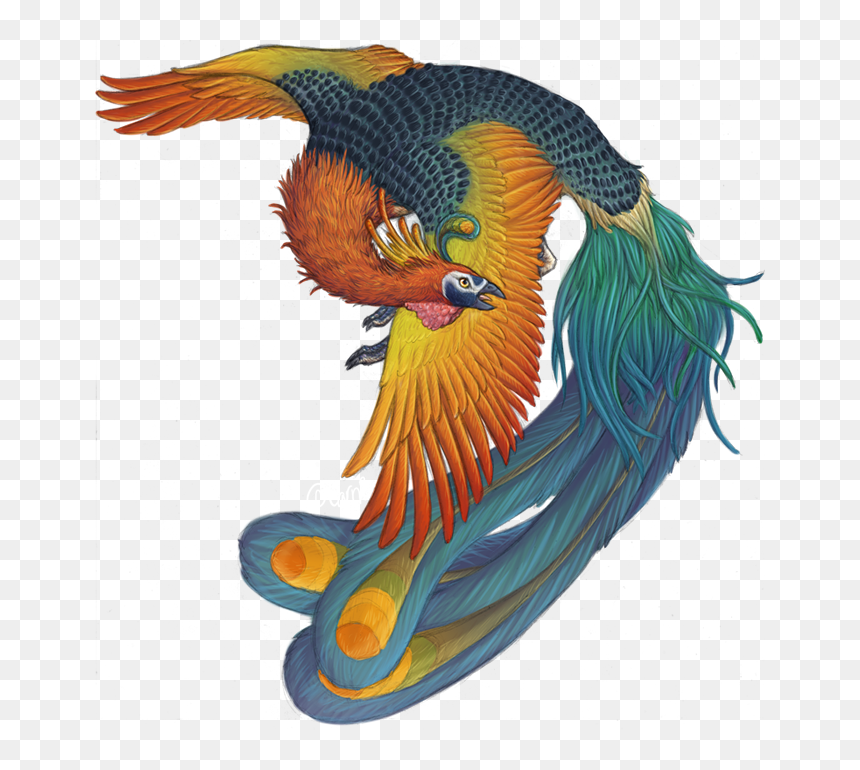 Phoenix Bird Harry Potter - Fenghuang Creature, HD Png Download - phoenix bird png