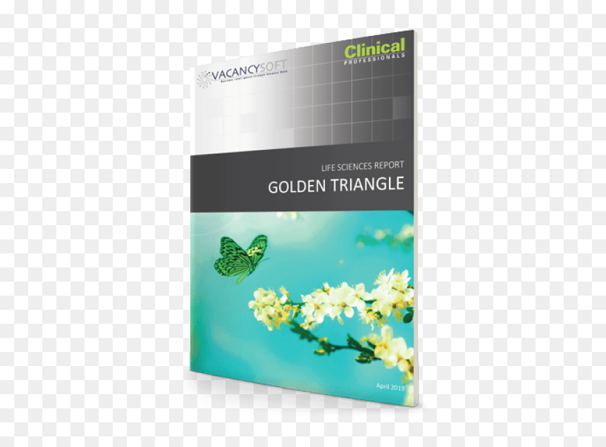 Book Cover, HD Png Download - gold triangle png