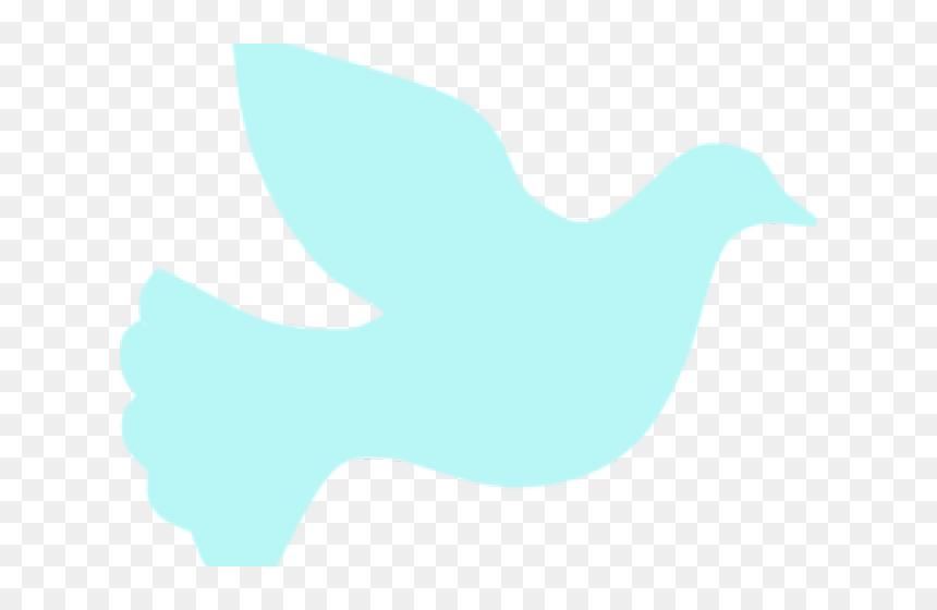 Dove Clipart Pink - Marine Mammal, HD Png Download - dove clipart png