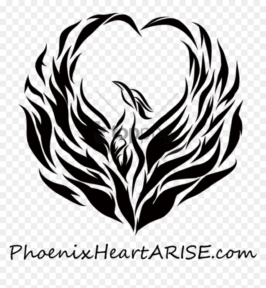 Free Png Download Phoenix Bird Images Black And White - Phoenix Black Background White, Transparent Png - phoenix bird png