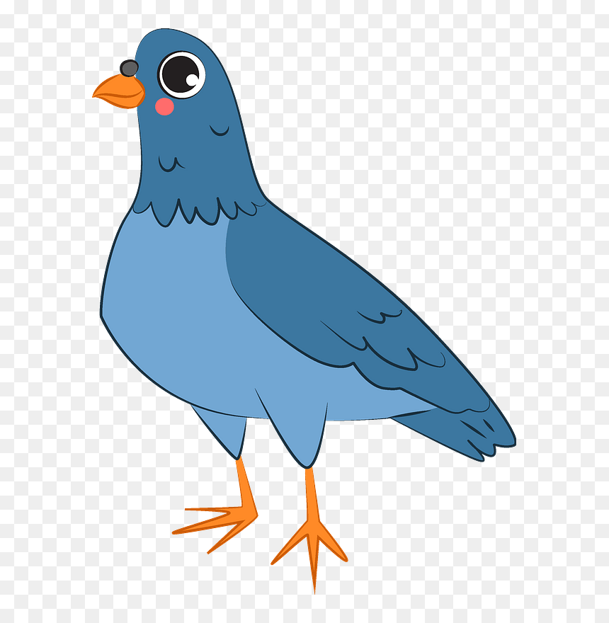 Dove Clipart - Lovebird, HD Png Download - dove clipart png