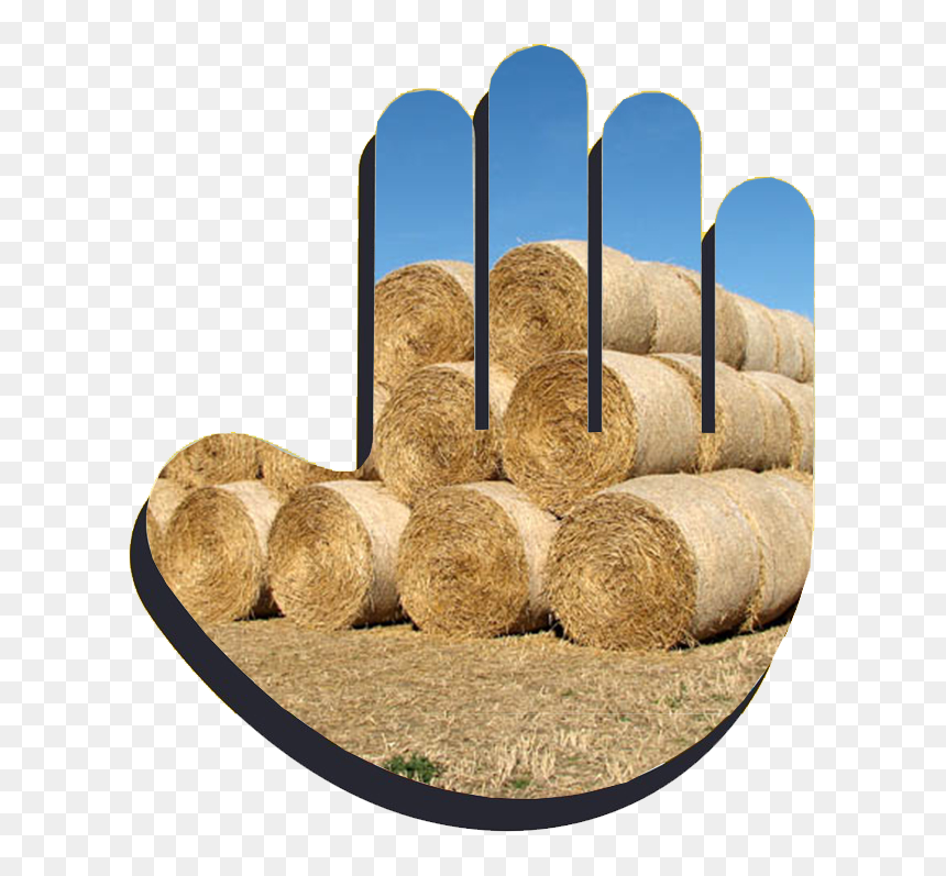 Wood, HD Png Download - helping hand png