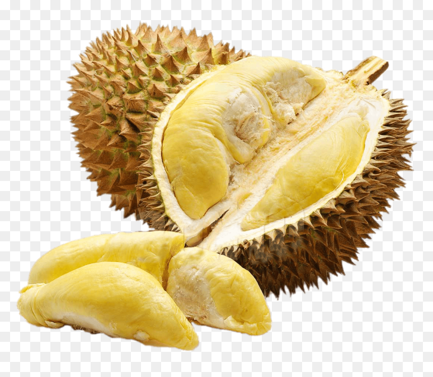 Exoctic Fruit, HD Png Download - durian png