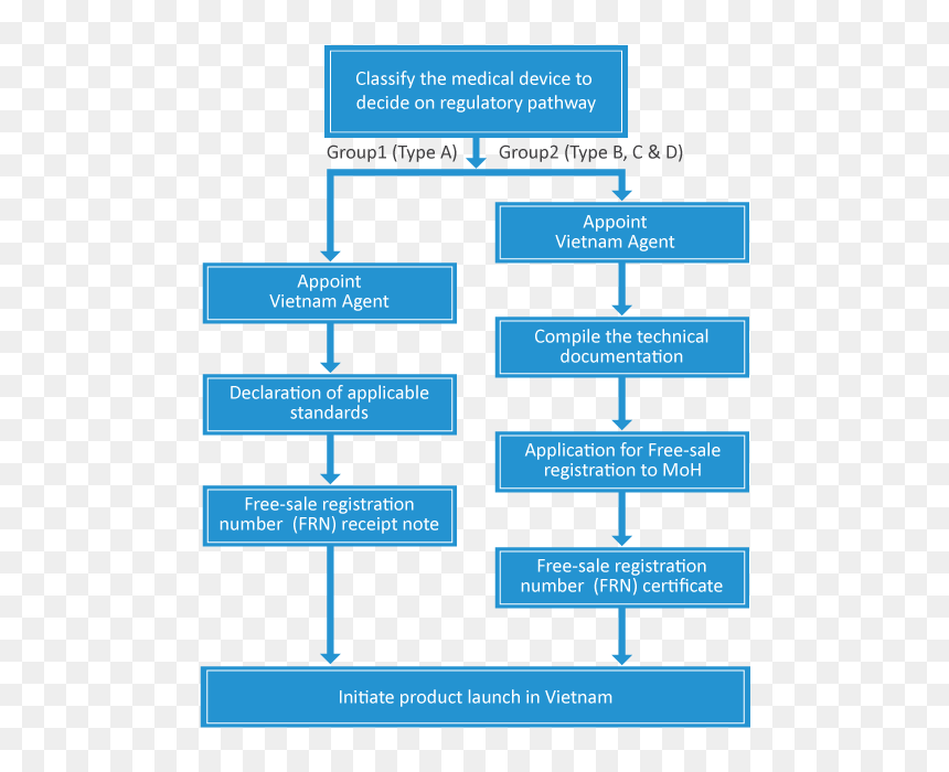 Registration Of Medical Devices In Germany, HD Png Download - vietnam png