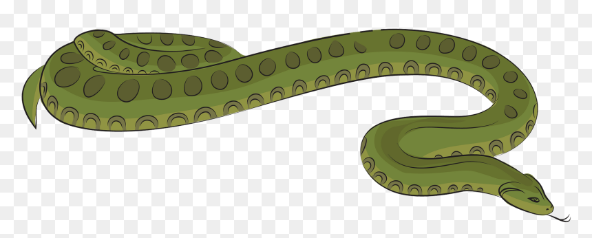 Anaconda Clipart, HD Png Download - anaconda png
