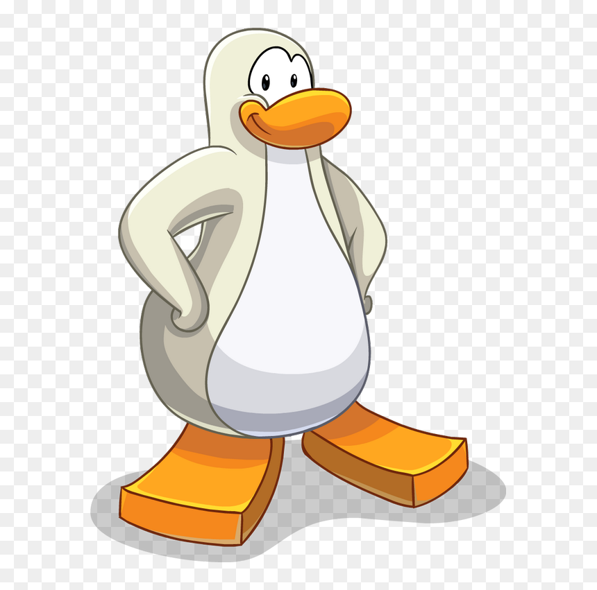 Pingouins Blancs Pingouins Blancs Pingouins Blancs - Club Penguin Penguin Base, HD Png Download - base png