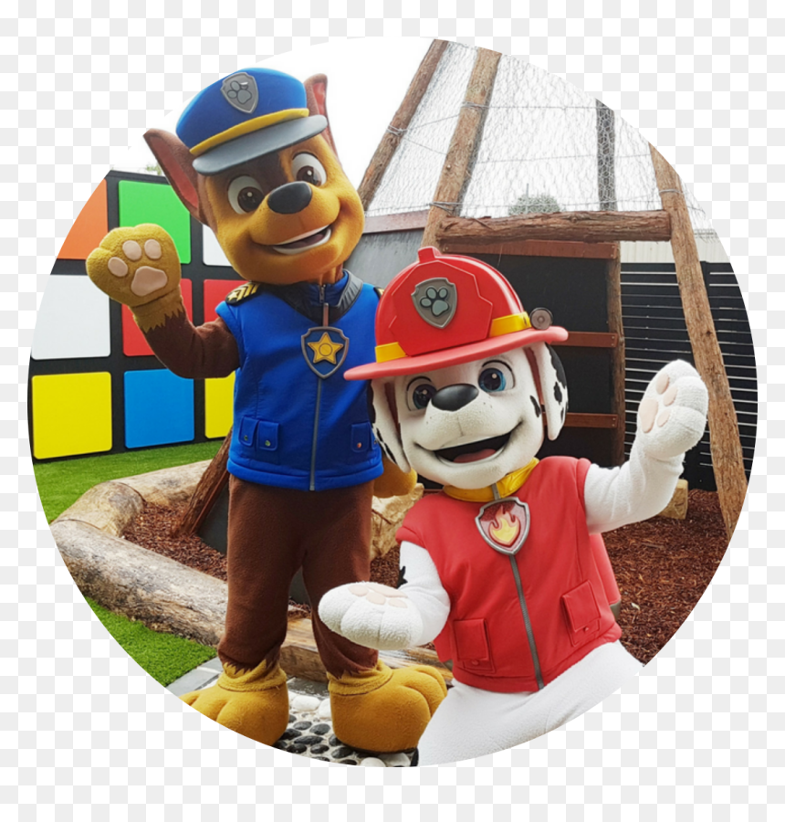 Cartoon, HD Png Download - paw patrol ryder png