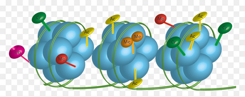 Transparent Studying Png - Radiation Therapy, Png Download - studying png