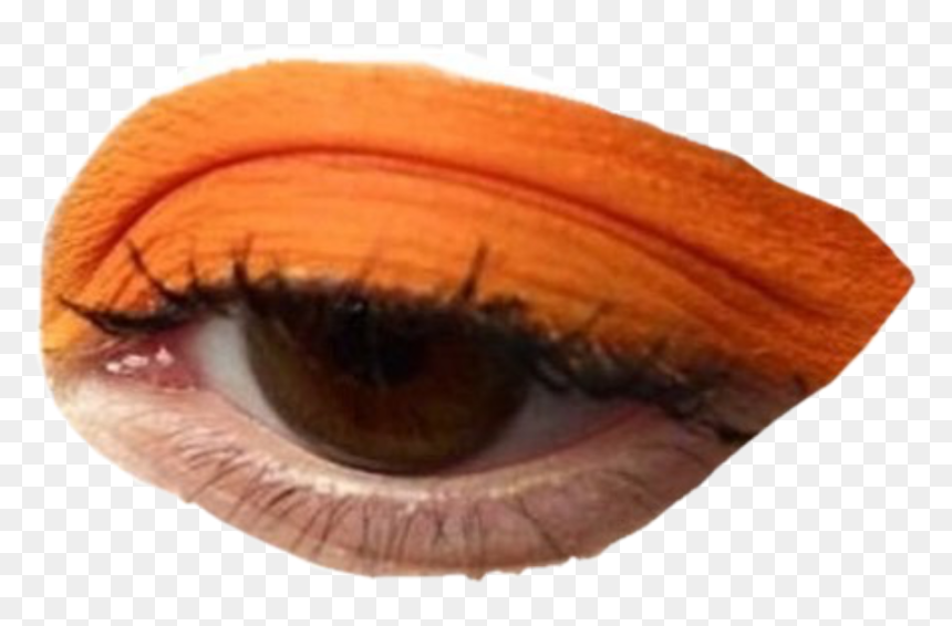 #moodboard #filler #png #eye #makeup #interesting #niche - Niche Meme Eye Png, Transparent Png - meme pngs