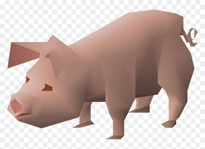 Carnivore, HD Png Download - piglet png