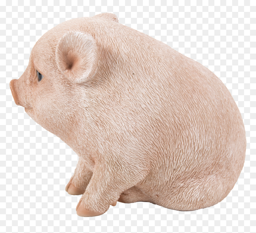 Png Women Breastfeeding Piglets - Piglet, Transparent Png - piglet png