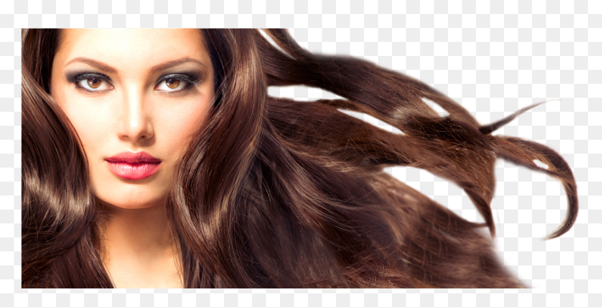 Created By A Stylist For Stylists - Long Blowing Hair, HD Png Download - hair stylist png