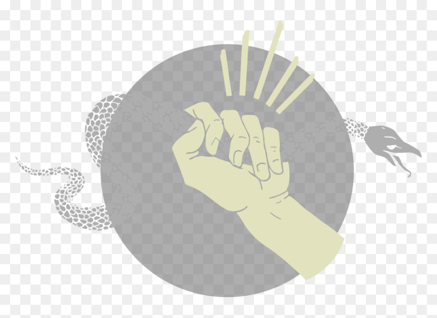 Hand Grabbing Snake 1@4x - St. Mary's Basilica, HD Png Download - grabbing hand png