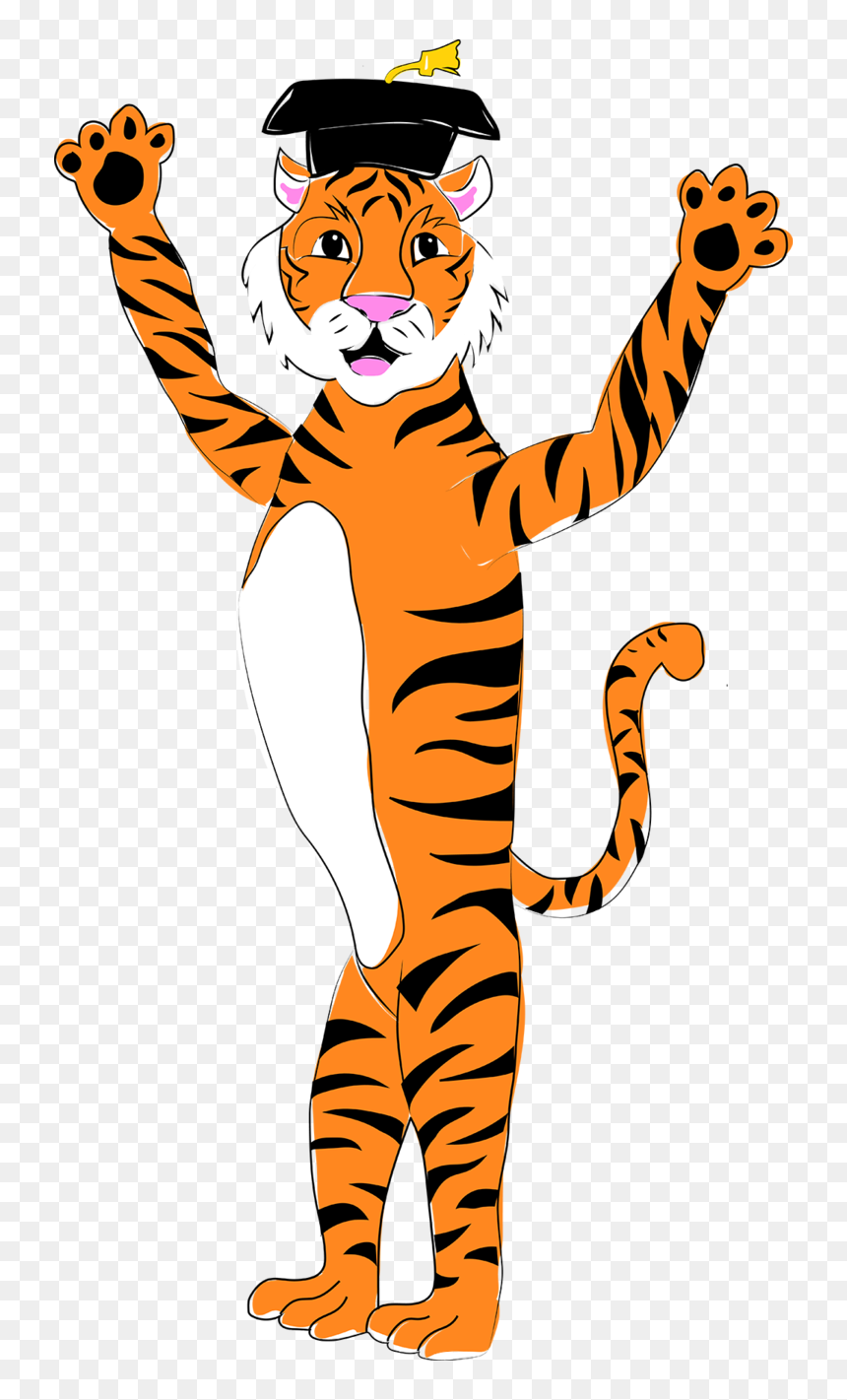 Tiger In Cap And Gown, HD Png Download - cap and gown png