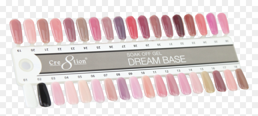 Dream Base Color Chart - Lip Gloss, HD Png Download - base png