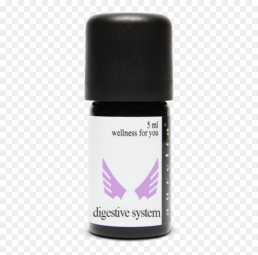 Essential Oil, HD Png Download - digestive system png